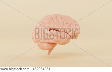 Orange Simple Mind Brain Model On Yellow Background. Medical Science Healthcare And Abstract Object 