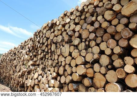 Sawn Tree Trunks Cut In The Industrial Sawmill For The Production Of Lumber