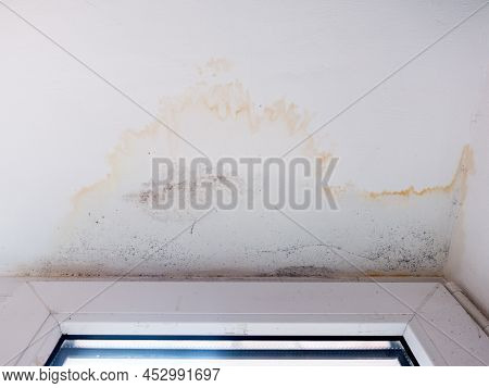 A Large Stain On The Window Sill Wall From Moisture Ingress, Black Mold Appeared On The Wall. Rain W