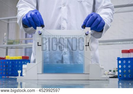 Scientist Prepares A Large Block Of Dna Electrophoresis Gel In The Laboratory, Clamping Screws On Th