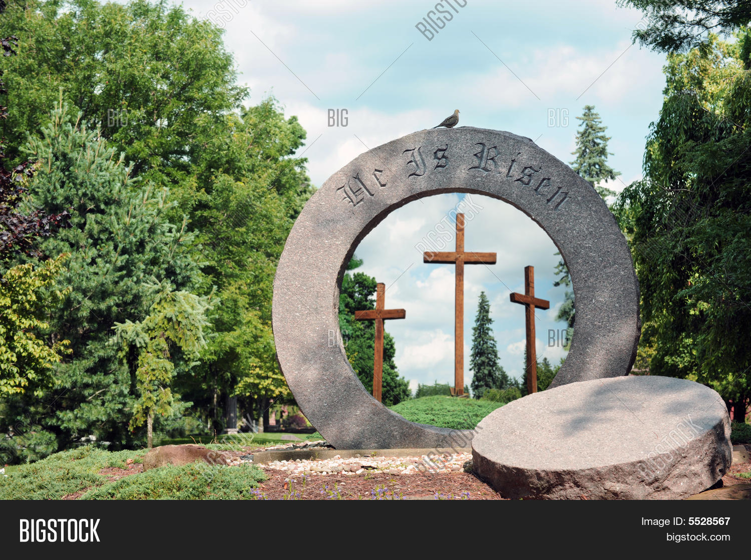 Image Preview