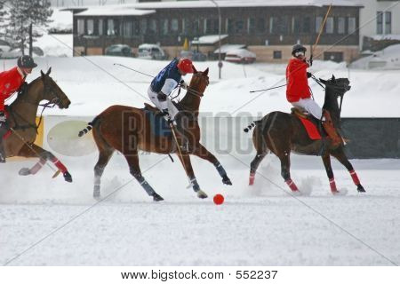 겨울 폴로 경기