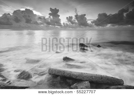 Black and white beach photos