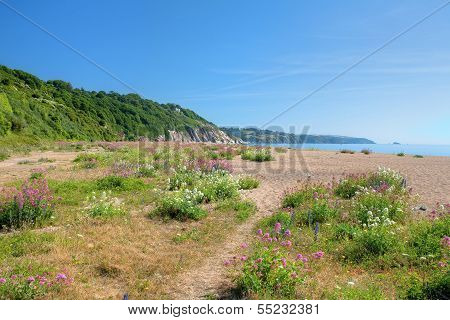 Slapton Sands, Devon
