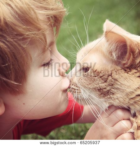 Young boy kissing his cat