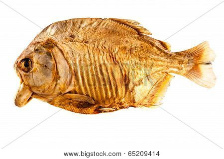 Pirana