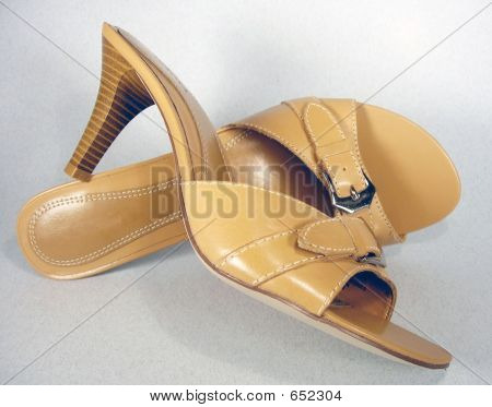 Tan Slides 3