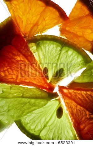 saftbar zitrusgewächs