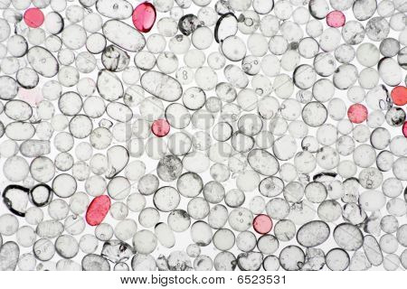 viele transluzente Objekte