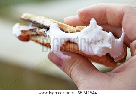 Smore for dessert