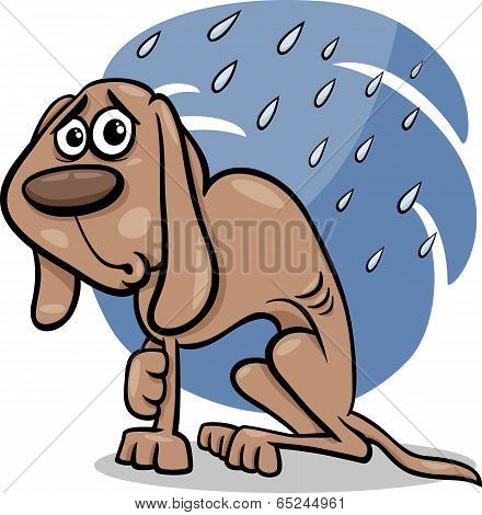 Homeless Dog Cartoon Illustration