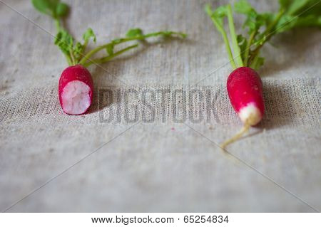 Fresh radish
