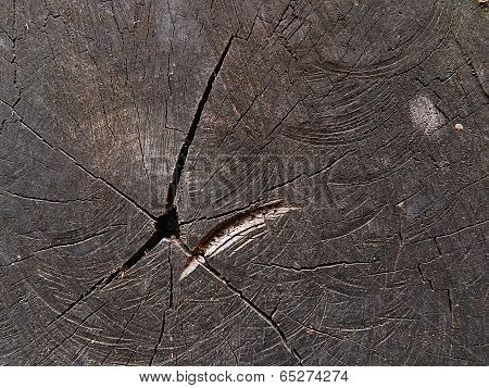 black wooden texture