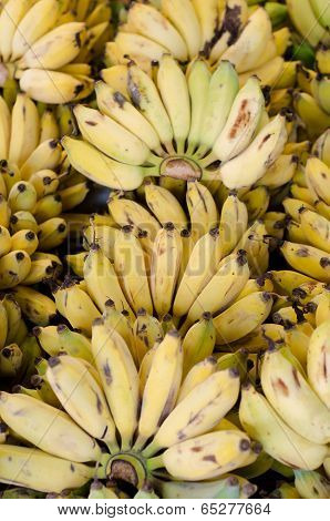 Musa Sapientum Banana In Market, Thailand