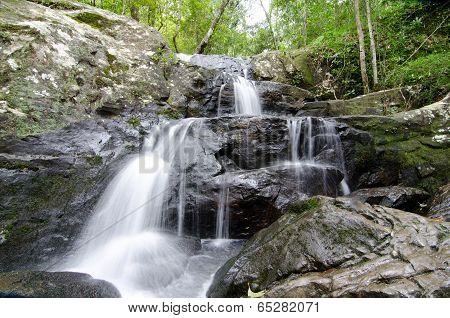 Beautiful waterfall in rain forest