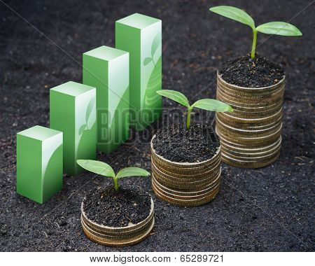 tress growing on coins
