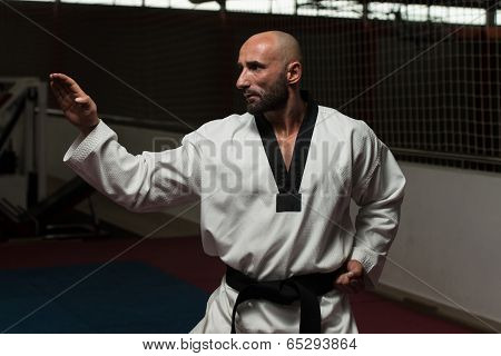 Taekwondo Fighter Expert With Fight Stance