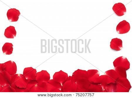 Red Rose Petals Border