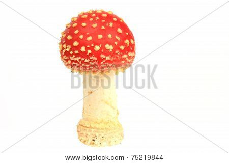 Fly Agaric Mushrooms (Amanita Muscaria)