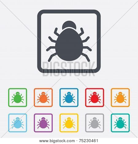 Bug sign icon. Virus symbol. Software bug error