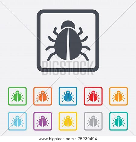 Bug sign icon. Virus symbol. Software bug error