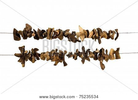 Dried Mushrooms