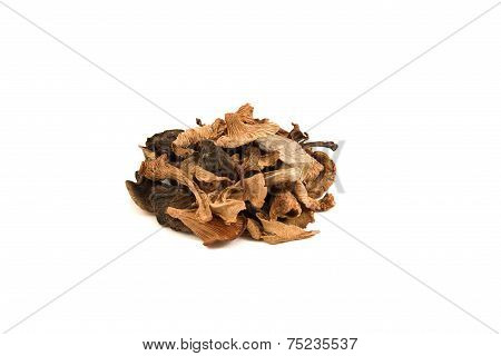Dried Mushrooms