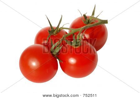 고립 된 토마토