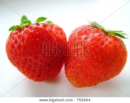 Morangos