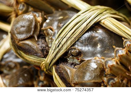 Close up of freshness hairy crabs