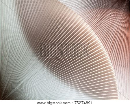Curved Jalouse