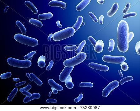 Colony of pathogen bacteria - 3d render