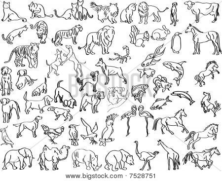 Luonnoksia eläinten