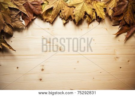 autumn frame