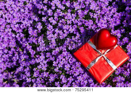 Bloom Of A Lilacbush With Red Heart And A Gift