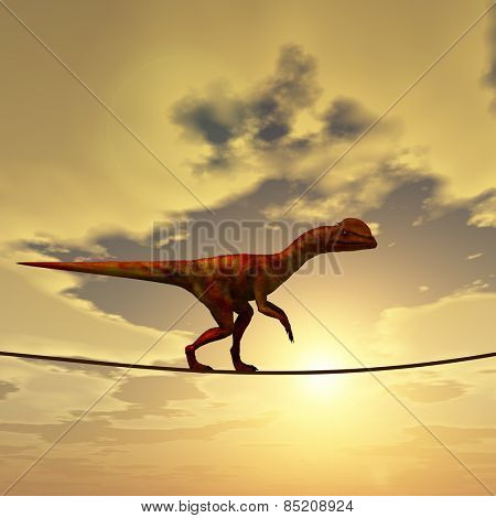 Concept or conceptual abstract business metaphor as wild heavy dinosaurus balancing on rope over sunset sky background