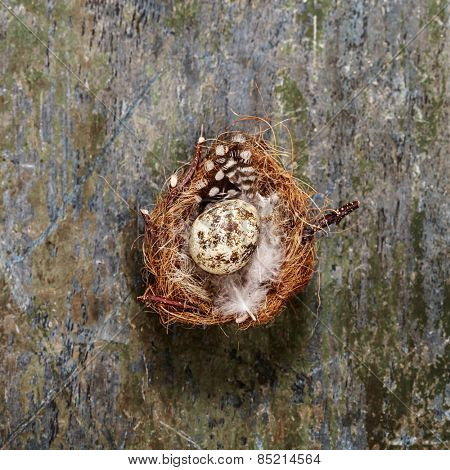 Easter egg nest on rustic wooden background