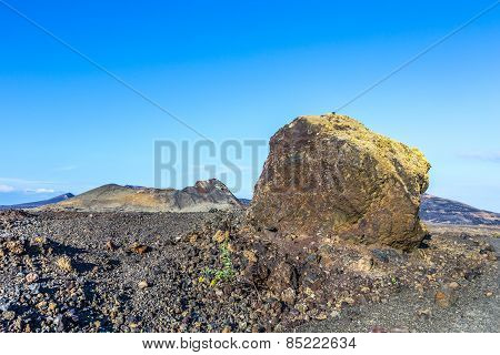 Volcanic Bomb In Front Of Volcano Montana Colorada In Lanzarote, Tinajo