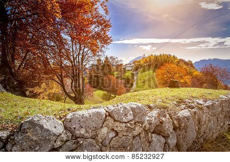 Mountain Landscape