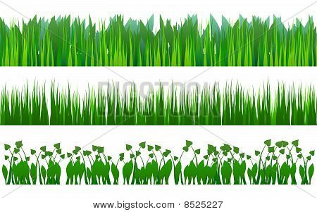 Motif de l'herbe