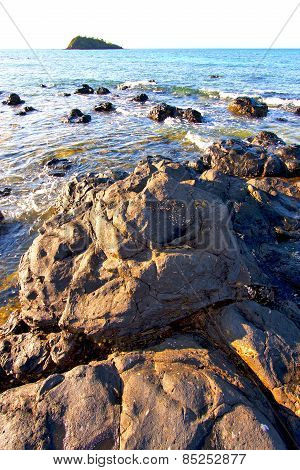 Andilana Beach Seaweed In Indian Ocean  Mountain     And Rock