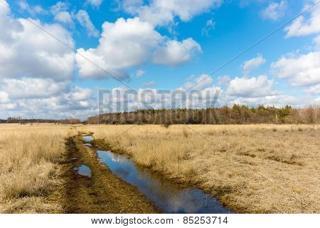 nice sprind day on meadow with dirt road
