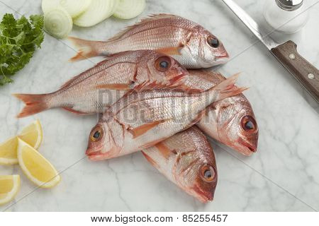  Fresh raw small red snappers on the table