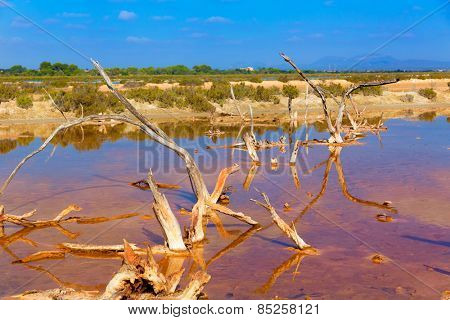Mallorca Es Trenc Ses Salines saltworks in Balearic islands Majorca