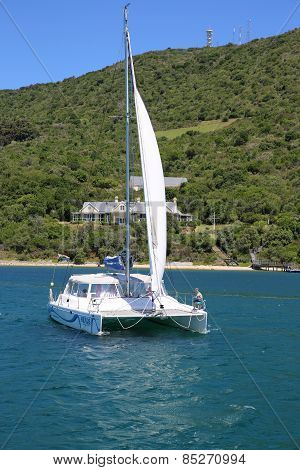 Heads Explorer Catamaran Day Cruises