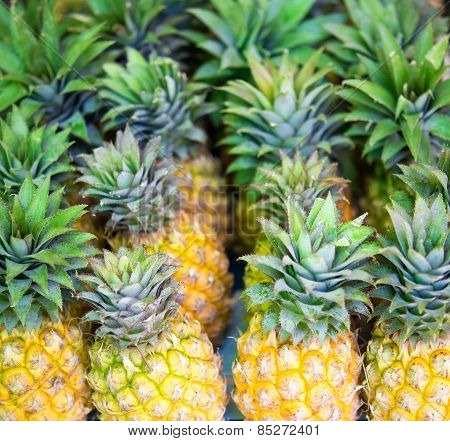 Pineapples