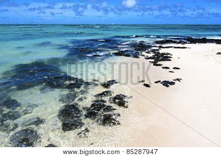 Beach Ile Du Cerfs Seaweed   Indian Ocean Mauritius Rock