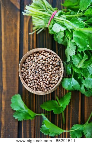 Coriander