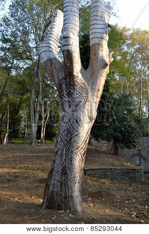 Tree with ornament