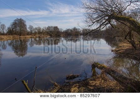 River In Spring